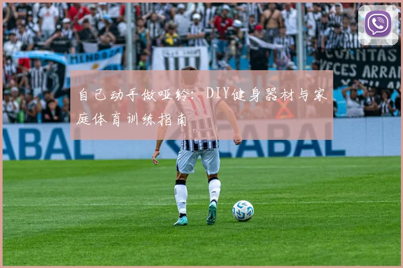 自己动手做哑铃：DIY健身器材与家庭体育训练指南