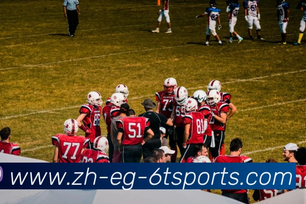 6T体育平台生态图