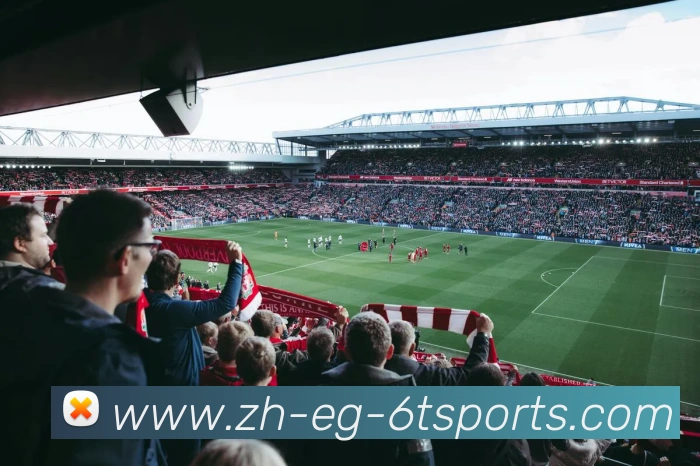 6T体育APP 封面图